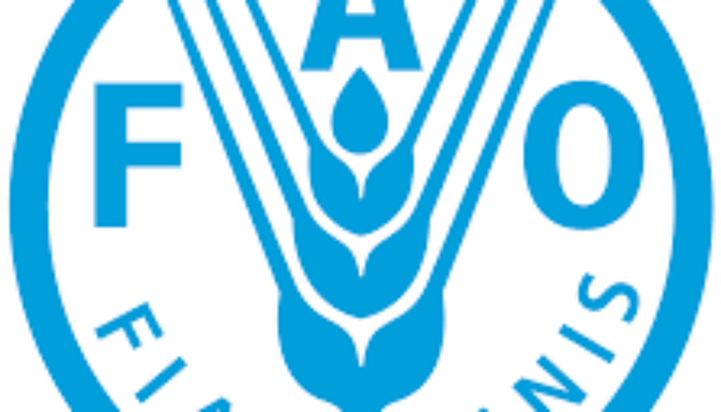 Procurement Assistant Vacancy Job Ref: VACFAO2901-35