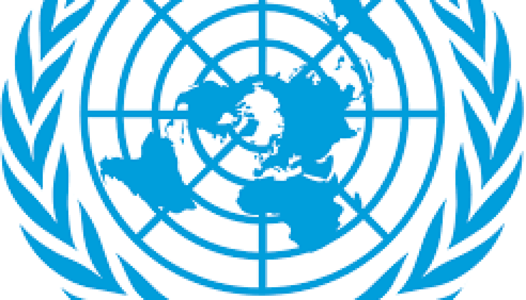 UNRC Logo National Consultant for the Mid-Term Review of the United Nations Sustainable Development Cooperation Framework (UNSDCF) Vacancy Job Ref: VACUNRC2901-41